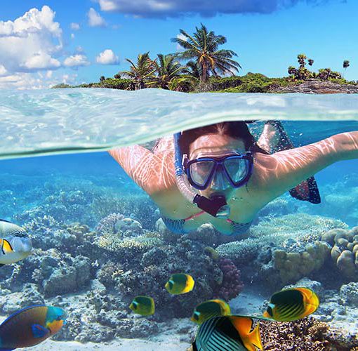 Snorkelling-and-diving-in-UAE