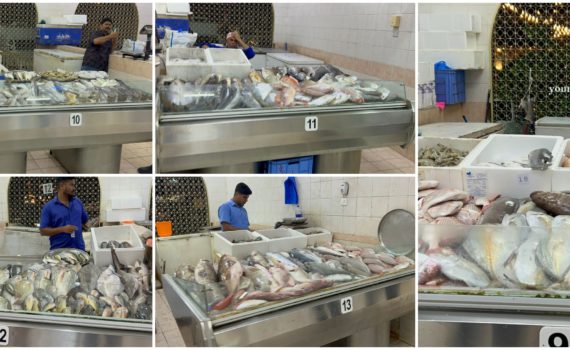 Khorfakkan Fish Market UAE